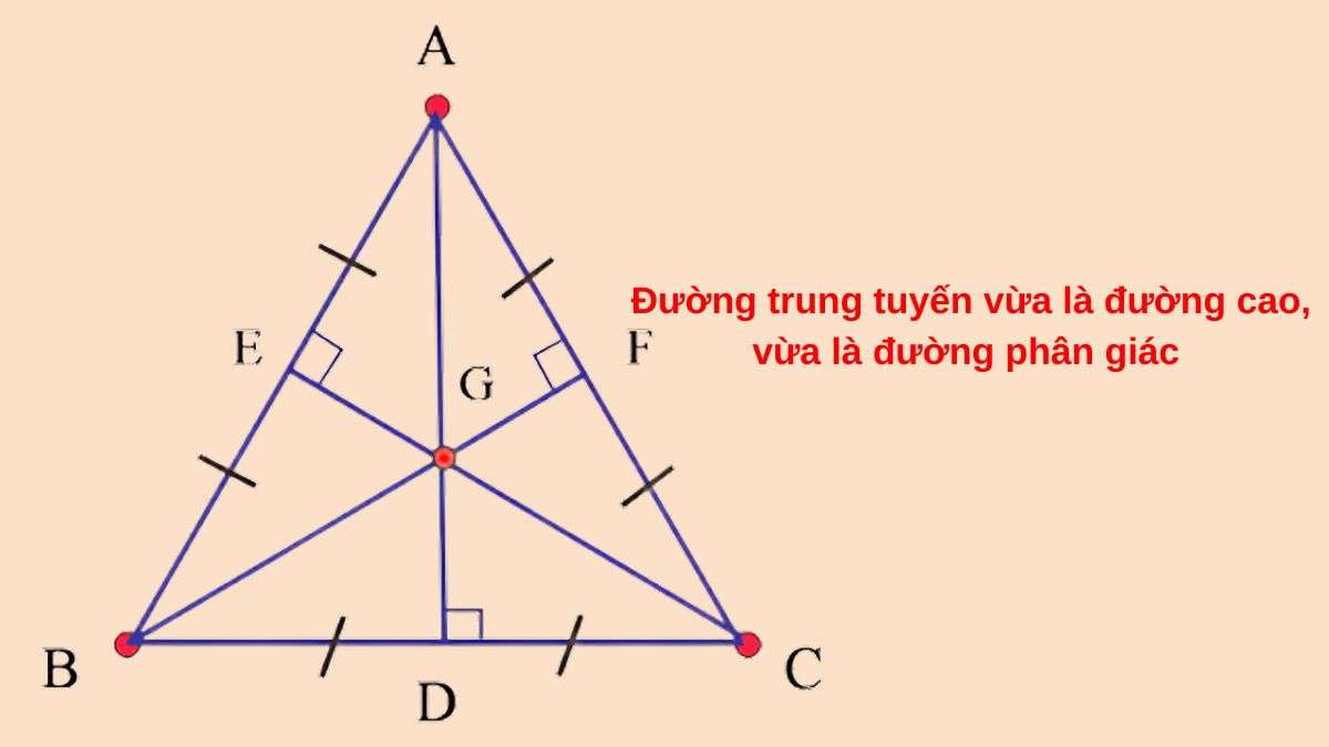 Đường trung trực là gì